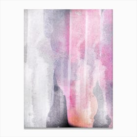 Pinks Wash Canvas Print