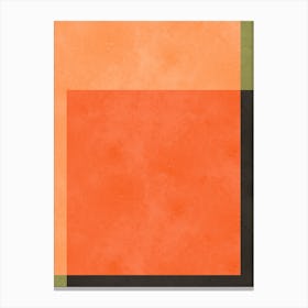 Expressive geometric harmony 8 Canvas Print