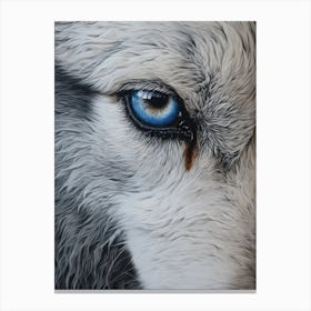 Tundra Wolf Eye 4 Canvas Print