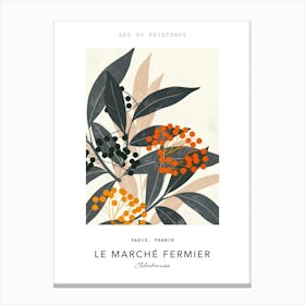 Elderberries Le Marche Fermier Poster 3 Canvas Print