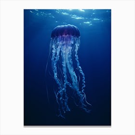 Box Jellyfish Ocean Realistic 3 Canvas Print