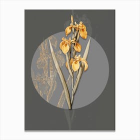 Vintage Botanical Irises on Circle Gray on Gray n.0211 Canvas Print