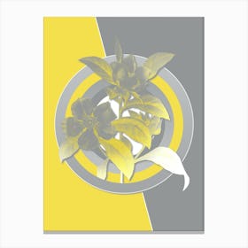 Vintage Golden Guinea Vine Botanical Geometric Art in Yellow and Gray n.013 Canvas Print