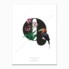Botanical  Alphabet Q Canvas Print