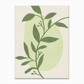 Minimal Green Botanical Leaf Illustration Canvas Print