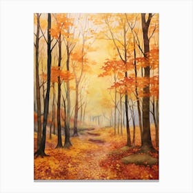 Autumn Forest Landscape Fagus Forest Germany Canvas Print