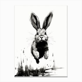 Rabbit Prints Ink Drawing Black And White 8 Canvas Print