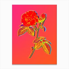 Neon Apothecary Rose Botanical in Hot Pink and Electric Blue Canvas Print