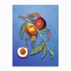 Vintage Walnut Botanical Art on Blue Perennial n.0045 Canvas Print
