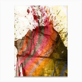 Abstraction Painted Stone Canvas Print