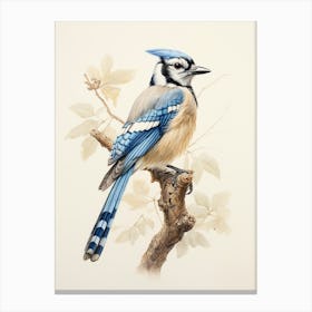 Vintage Bird Drawing Bluejay Canvas Print