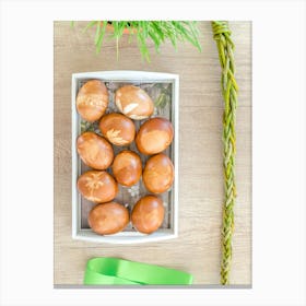 Easter Eggs 93 Canvas Print