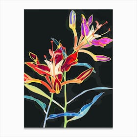 Neon Flowers On Black Kangaroo Paw 1 Canvas Print