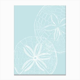 Sand Dollars 2 Canvas Print