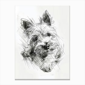 Terrier Dog Line Sketch 3 Canvas Print