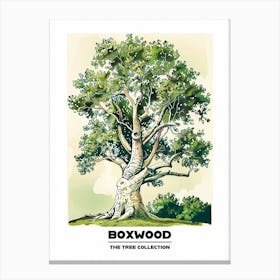 Boxwood Tree Storybook Illustration 2 Poster Canvas Print