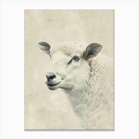 Portrait Of A Sheep Canvas Print