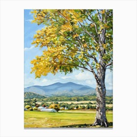 Tree In The Fall 1 Canvas Print