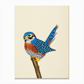 American Kestrel Illustration Bird Canvas Print