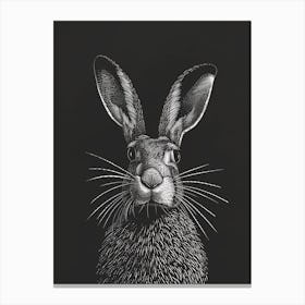Belgian Hare Blockprint Illustration 5 Canvas Print