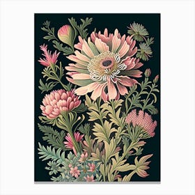 Aster 2 Floral Botanical Vintage Poster Flower Canvas Print