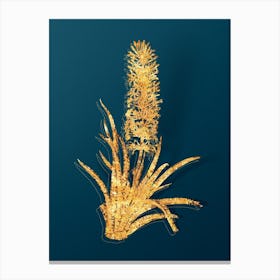Vintage Snake Plant Botanical in Gold on Teal Blue n.0156 Canvas Print