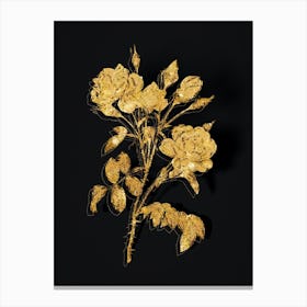 Vintage White Rose Botanical in Gold on Black n.0343 Canvas Print