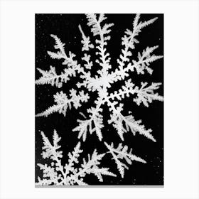Fernlike Stellar Dendrites, Snowflakes, Black & White 3 Canvas Print