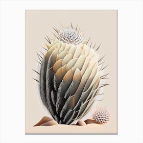 Stenocactus Cactus Neutral Abstract 2 Canvas Print