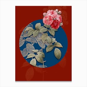Vintage Botanical Seven Sisters Roses on Circle Blue on Red n.0210 Canvas Print