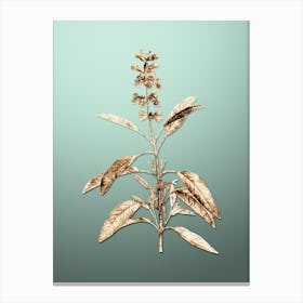 Gold Botanical Sage Plant on Mint Green n.0246 Canvas Print