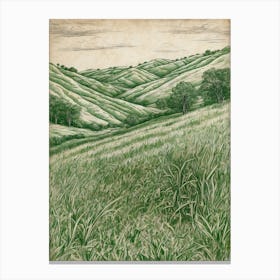 'Green Hills' 1 Canvas Print