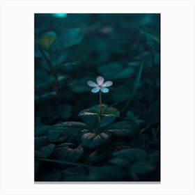 Flower In The Dark 5 Canvas Print