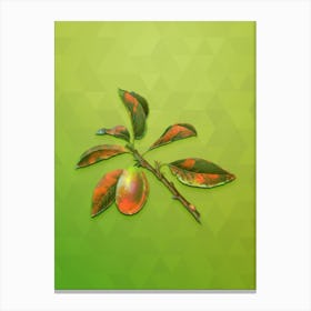 Vintage Armenian Plum Botanical Art on Love Bird Green n.0761 Canvas Print