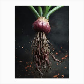 Onion 1 Canvas Print