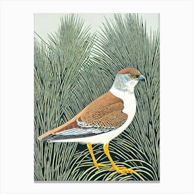Eurasian Sparrowhawk 2 Linocut Bird Canvas Print