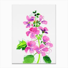 Pink mallow watercolor artwork Canvas Print