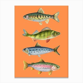 Fishes On A Orange Background Print Canvas Print