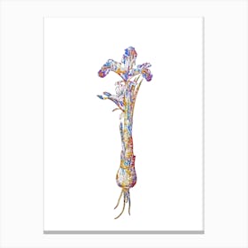 Stained Glass Iris Persica Mosaic Botanical Illustration on White n.0159 Canvas Print