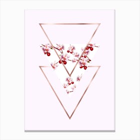 Cherry Polygonal 3 Canvas Print