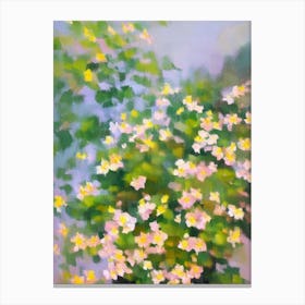 Oxalis Impressionist Painting Plant Canvas Print