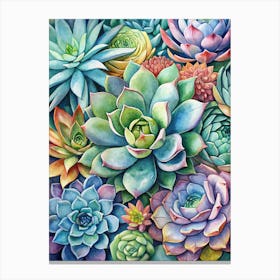 Succulents Canvas Print