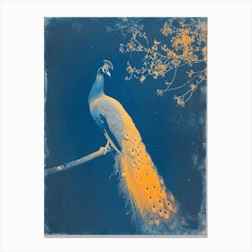 Orange & Blue Peacock Cyanotype Inspired 1 Canvas Print
