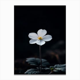 White Flower 16 Canvas Print