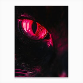 Cat Eye Canvas Print