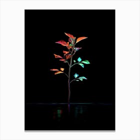 Tree On A Black Background 1 Canvas Print