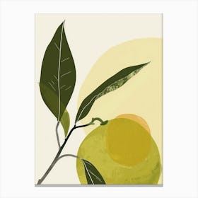 Limes Close Up Illustration 4 Canvas Print