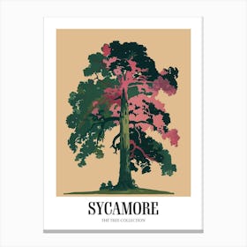 Sycamore Tree Colourful Illustration 2 Poster Canvas Print