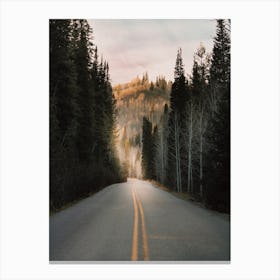 Dark Forest Road Canvas Print