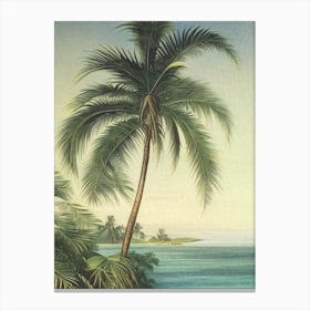 Ripples In Ocean Landscapes Waterscape Vintage Illustration 1 Canvas Print